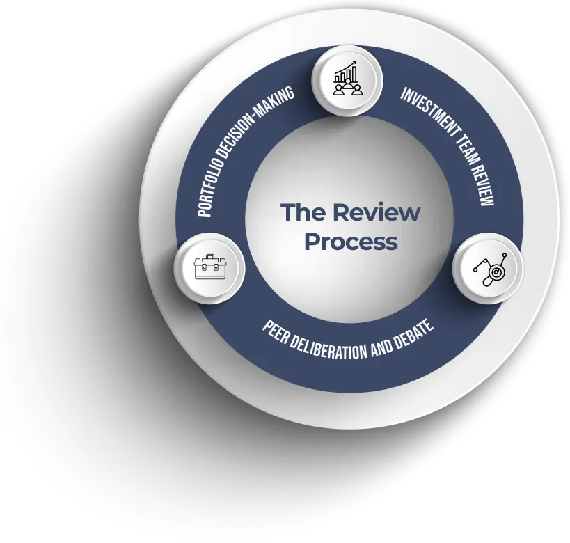 The Review Process Infographic